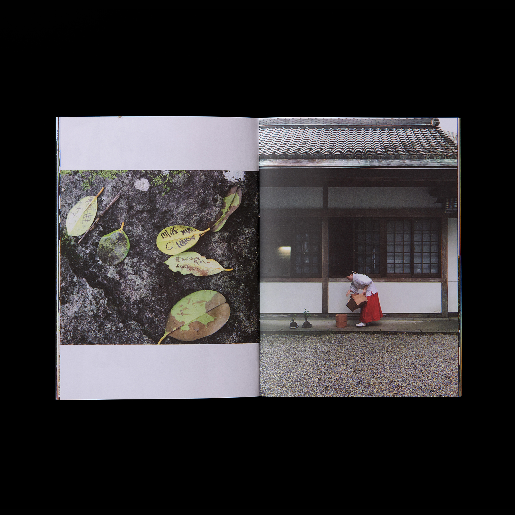 RS_RiceVisits_Japan_02