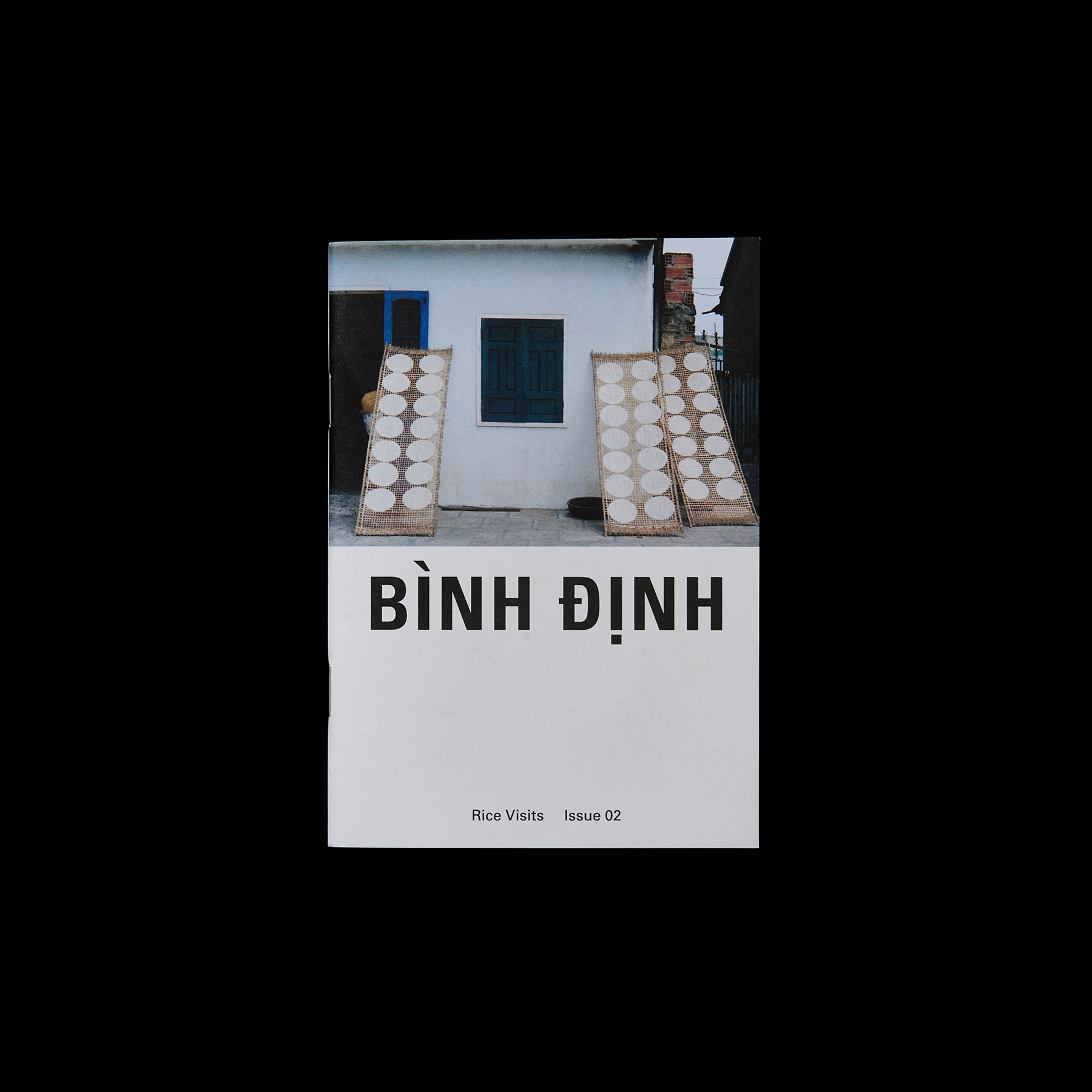 RS_RiceVisits_BinhDinh_01
