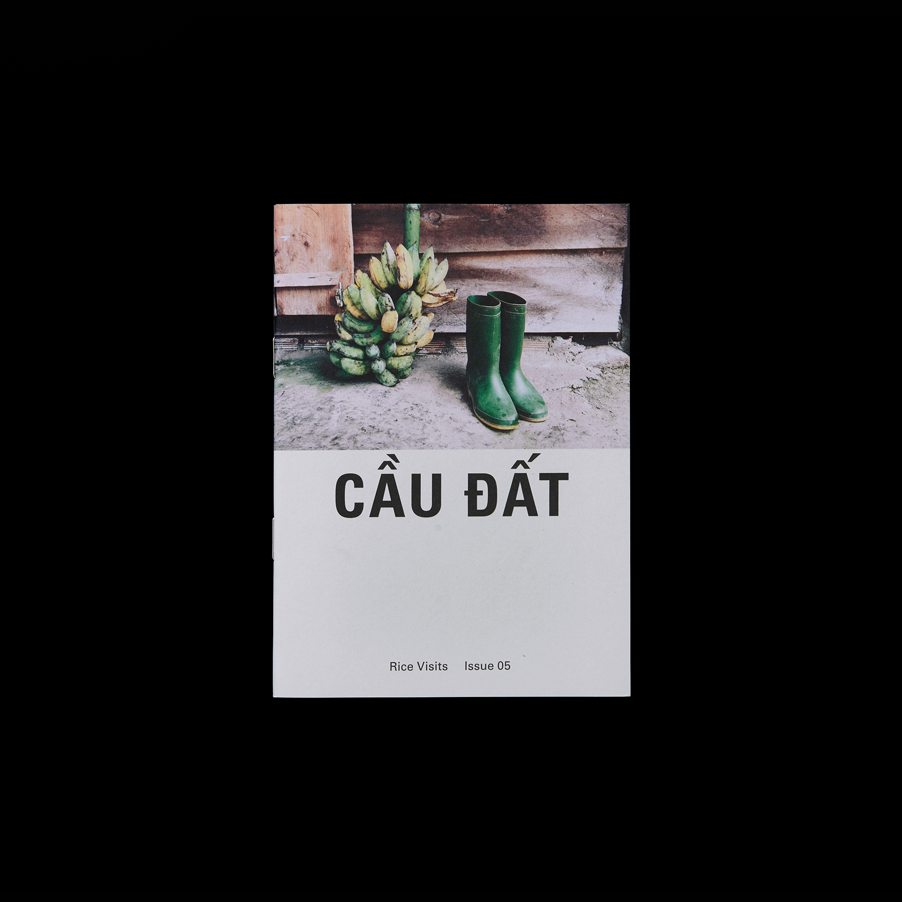 RS_RiceVisits_CauDat_01
