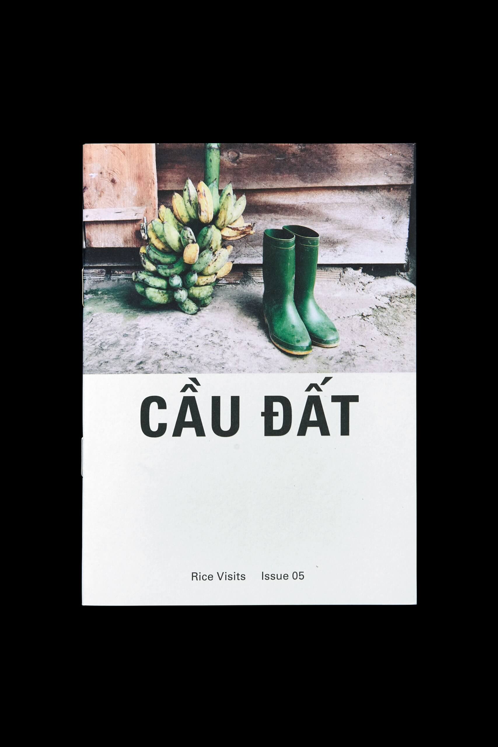 RS_RiceVisits_CauDat_Main02